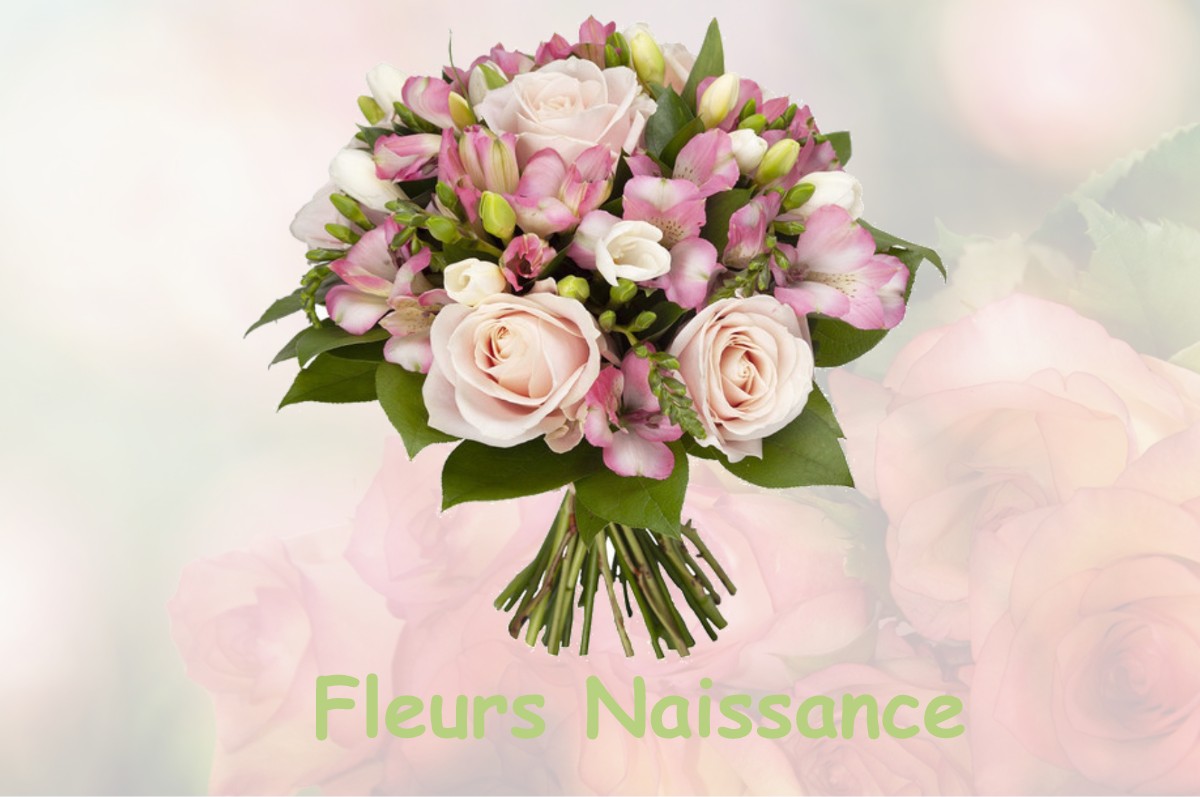 fleurs naissance PUISEUX-EN-FRANCE