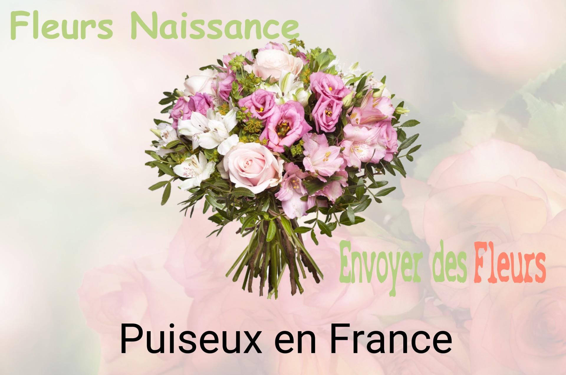 Bouquet de fleurs de naissance livré à Puiseux-en-France